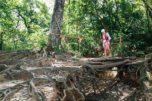 BIB: 
                            <button type="button" onclick="openModal(27800393)" class="btn btn-primary btn-sm float-right btn-popup" data-toggle="modal" data-target=".modal-high-quality">
                        <i class="fas fa-shopping-cart"></i> Add to Cart
                    </button>
                                            <button type="button" onclick="isThisMe(27800393, true)" class="btn btn-success btn-sm float-right btn-popup btn-isme hidden" data-toggle="tooltip" data-placement="bottom" title="นี่คือรูปของคุณใช่ไหม คลิกที่นี่เพื่อเอาเข้าอัลบั้ม">
                        <i class="fas fa-plus"></i> Add to album
                    </button>
                    <button type="button" onclick="isThisMe(27800393, false)" class="btn btn-warning btn-sm float-right btn-popup btn-isnotme hidden">
                        <i class="fas fa-ban"></i> Remove from album
                    </button>